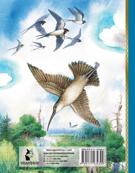 Изображение товара Книга АСТ Мышонок Пик. Сказки о животных (Бианки В.В.)