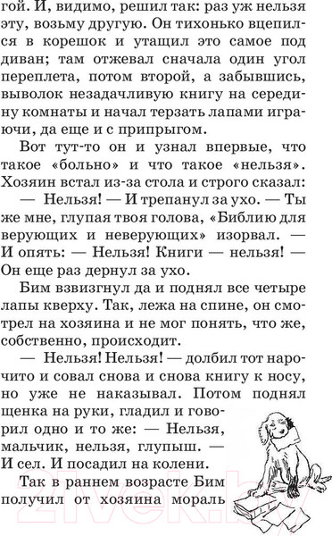 Изображение товара Книга АСТ Белый Бим Черное ухо (Троепольский Г.Н.)