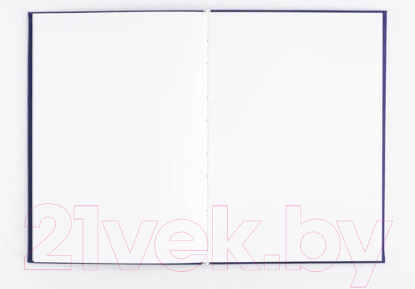 Изображение товара Скетчбук Малевичъ Bristol Touch / 401429 (50л, индиго)