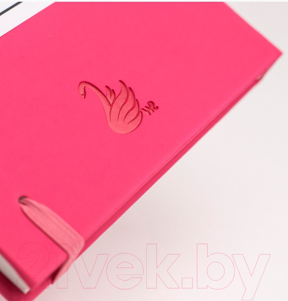 Изображение товара Скетчбук Малевичъ Bristol Touch / 401432 (малиновый)