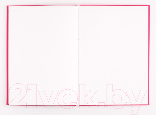 Изображение товара Скетчбук Малевичъ Bristol Touch / 401432 (малиновый)