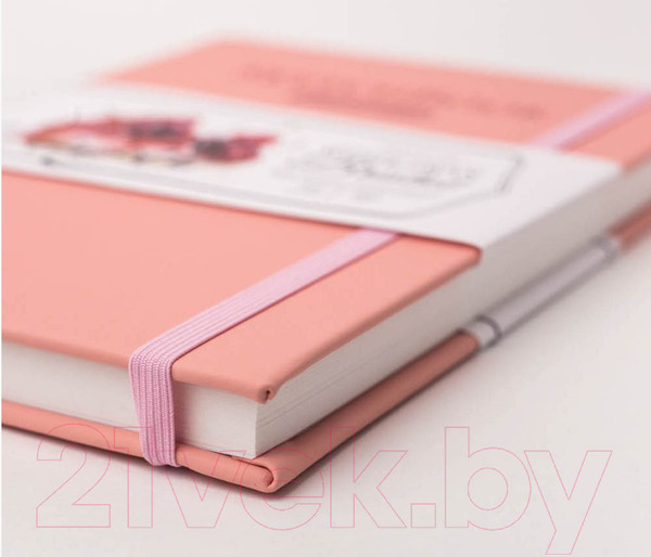 Изображение товара Скетчбук Малевичъ Bristol Touch / 401229 (розовый)
