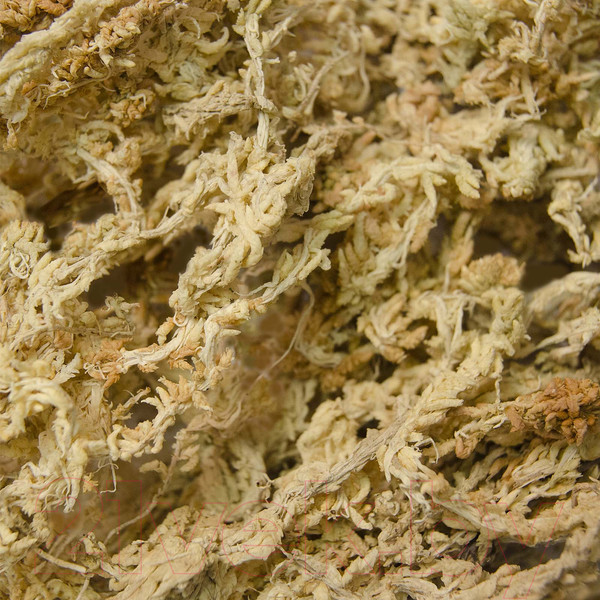 Изображение товара Грунт для террариума Lucky Reptile Sphagnum / SM-500 (500г, светло-бежевый)