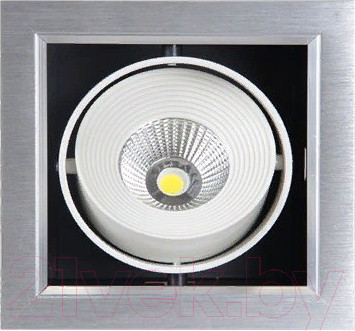 Изображение товара Точечный светильник JAZZway PSP-S 111 4000К (серый)