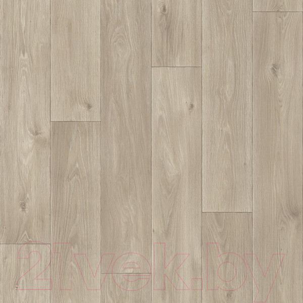 Изображение товара Линолеум Sinteros Комфорт Спенсер 3 (2x4м)