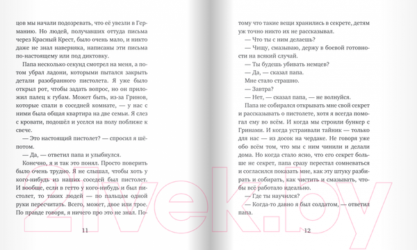 Изображение товара Книга Издательство Самокат Остров на Птичьей улице (Орлев У.)