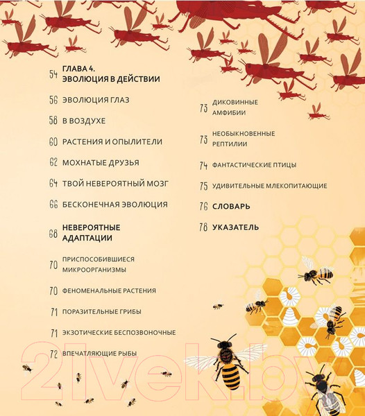Изображение товара Энциклопедия Мозаика-Синтез Чудеса эволюции. Путешествие во времени (Клейбурн А.)