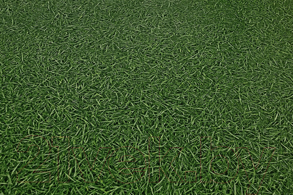 Изображение товара Линолеум IVC Нео Грасс 25 (3x1.5м)