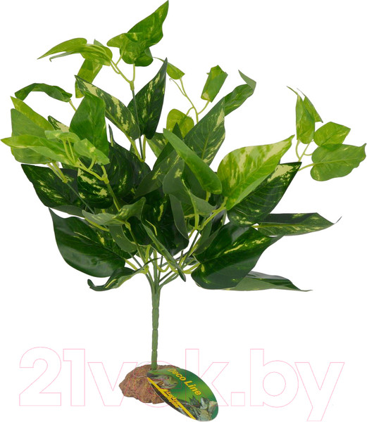 Изображение товара Декорация для террариума Lucky Reptile Scindapsus green / IF-34