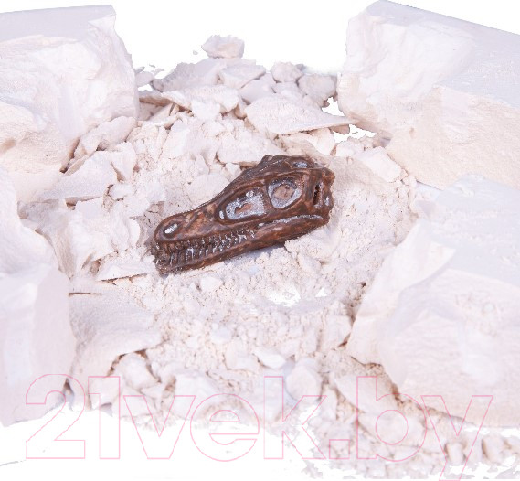 Изображение товара Набор для опытов Bondibon Исторические раскопки. Тайны веков / ВВ4786