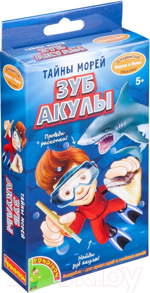 Изображение товара Набор для опытов Bondibon Исторические раскопки. Тайны морей/ ВВ4787