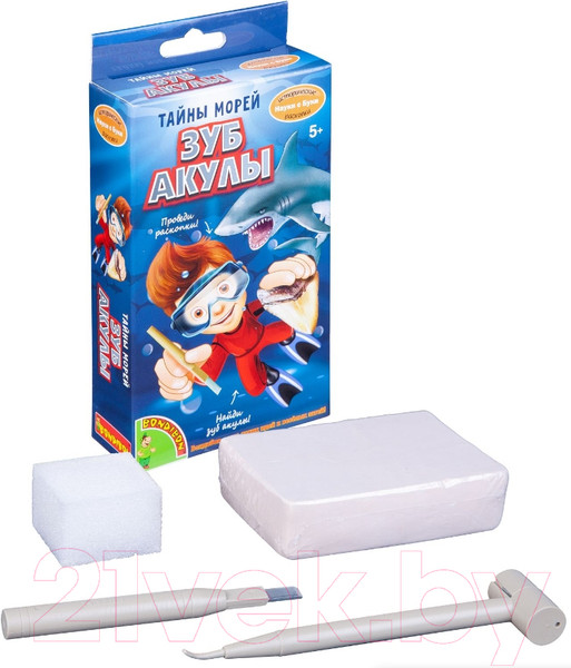 Изображение товара Набор для опытов Bondibon Исторические раскопки. Тайны морей/ ВВ4787