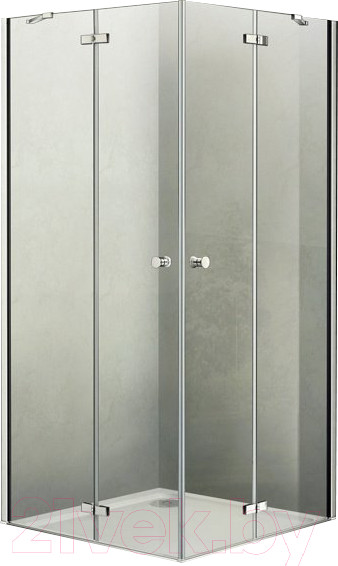 Изображение товара Душевой уголок WeltWasser WW200 200Q22-100