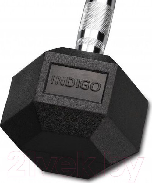 Изображение товара Гантель Indigo Sport IN124 (1кг, черный)