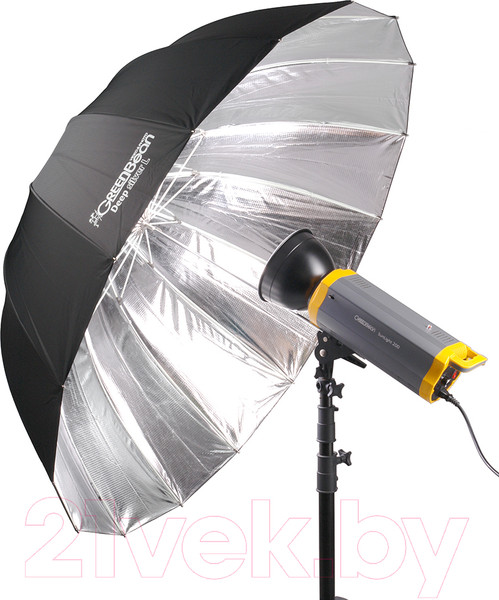 Изображение товара Фотозонт GreenBean Deep Silver L / 23279
