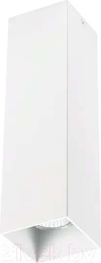 Изображение товара Точечный светильник Lightstar Rullo 216596