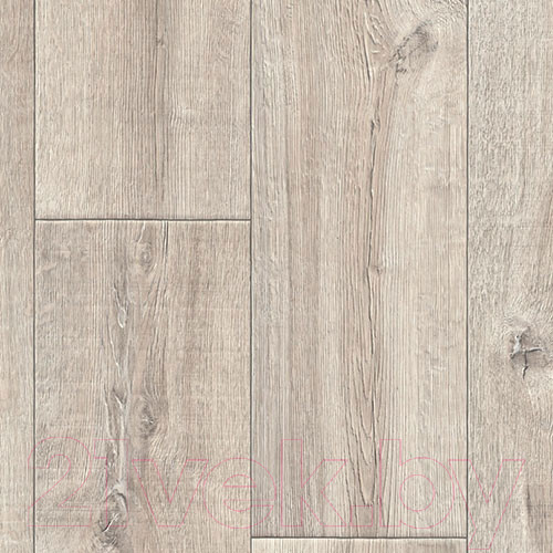 Изображение товара Линолеум IVC Basso Эджвуд 2 (2x2м)