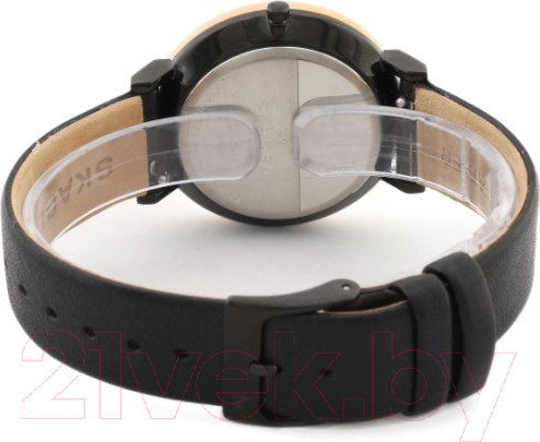 Изображение товара Часы наручные женские Skagen SKW2490