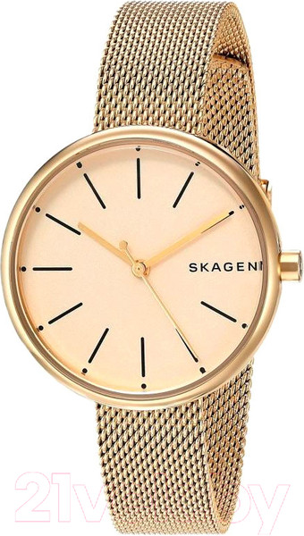 Изображение товара Часы наручные женские Skagen SKW2614