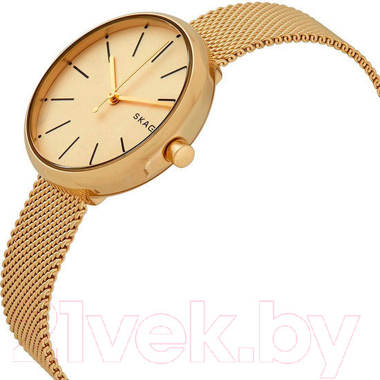 Изображение товара Часы наручные женские Skagen SKW2614