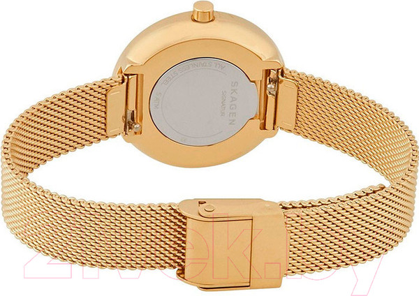 Изображение товара Часы наручные женские Skagen SKW2614