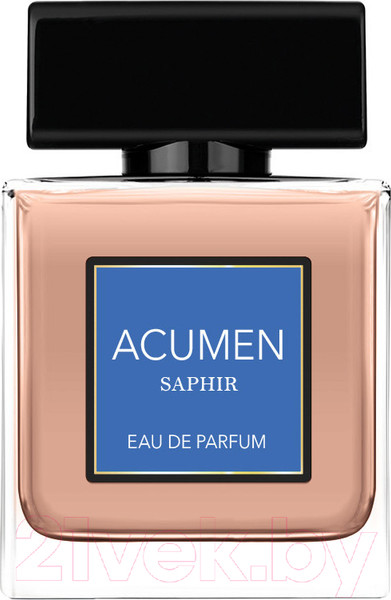 Изображение товара Парфюмерная вода Dilis Parfum Acumen Saphir for Men (100мл)