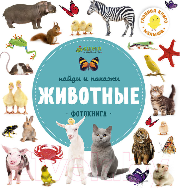 Изображение товара Развивающая книга CLEVER Найди и покажи. Фотокниги. Животные