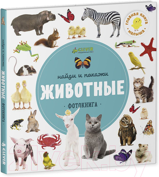 Изображение товара Развивающая книга CLEVER Найди и покажи. Фотокниги. Животные
