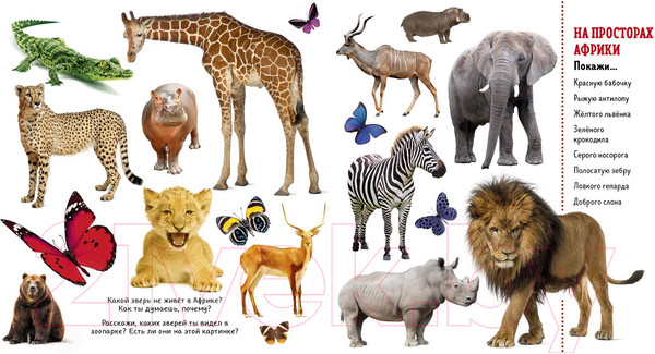 Изображение товара Развивающая книга CLEVER Найди и покажи. Фотокниги. Животные