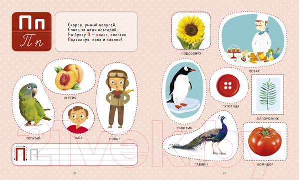 Изображение товара Развивающая книга CLEVER Первые книжки малыша. Моя первая азбука