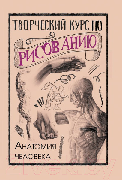 Изображение товара Книга АСТ Творческий курс по рисованию. Анатомия человека (Грей М.)