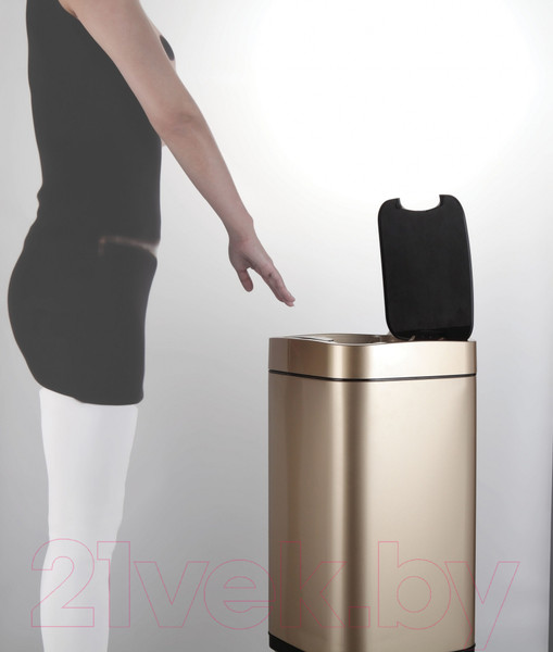 Изображение товара Сенсорное мусорное ведро WeltWasser Rone CG 28L (шампань золото)