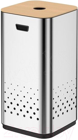 Изображение товара Бак для белья WeltWasser WW LETY MT (50L, матовая сталь)