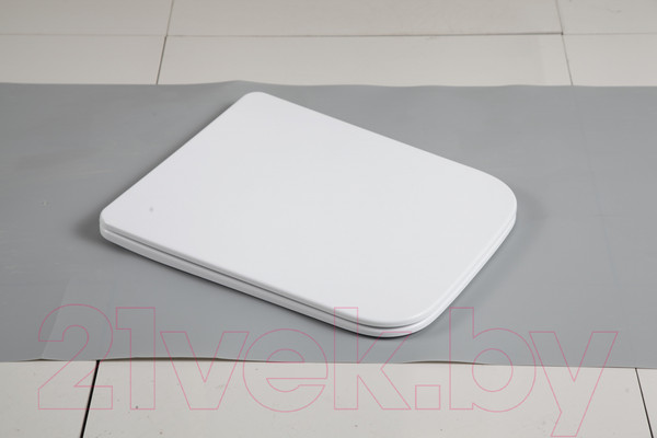 Изображение товара Сиденье для унитаза WeltWasser 010 GL-WT 