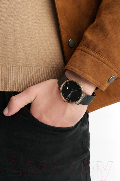 Изображение товара Часы наручные мужские Skagen SKW6296