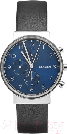 Изображение товара Часы наручные мужские Skagen SKW6417