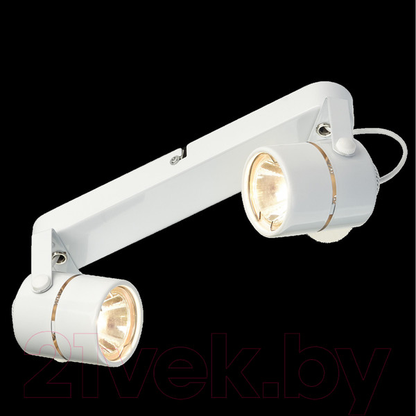 Изображение товара Спот Imex IL.0005.0215-2