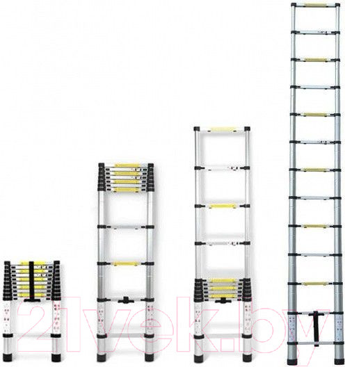 Изображение товара Телескопическая лестница Алюмет TLS 3.8
