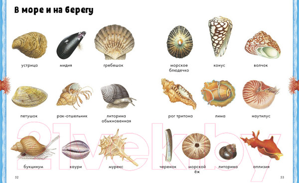 Изображение товара Развивающая книга CLEVER Животные. Визуальная энциклопедия (Бадреддин Д.)