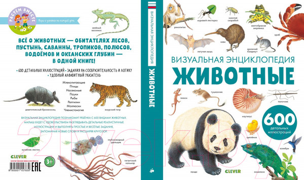 Изображение товара Развивающая книга CLEVER Животные. Визуальная энциклопедия (Бадреддин Д.)