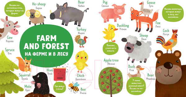 Изображение товара Развивающая книга CLEVER Мой первый английский. First words. Первые слова (Уткина О.)