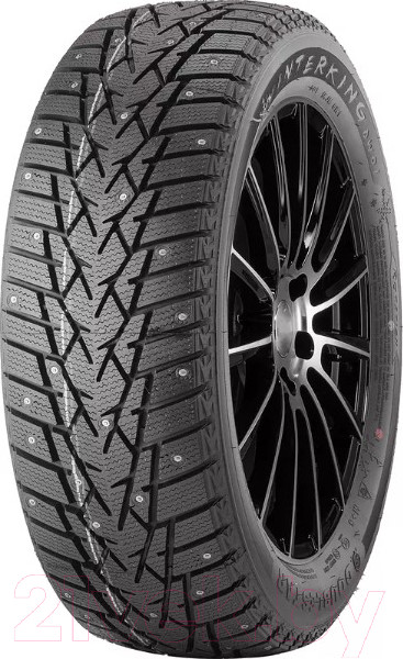 Изображение товара Зимняя шина DoubleStar DW01 235/55R18 100T (шипы)