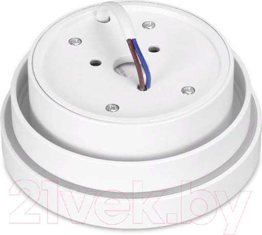 Изображение товара Точечный светильник Ambrella TN601 WH/S