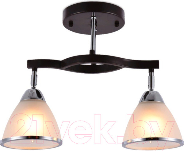 Изображение товара Потолочный светильник Ambrella TR3111/2 DCF/CH (темный кофе/хром)