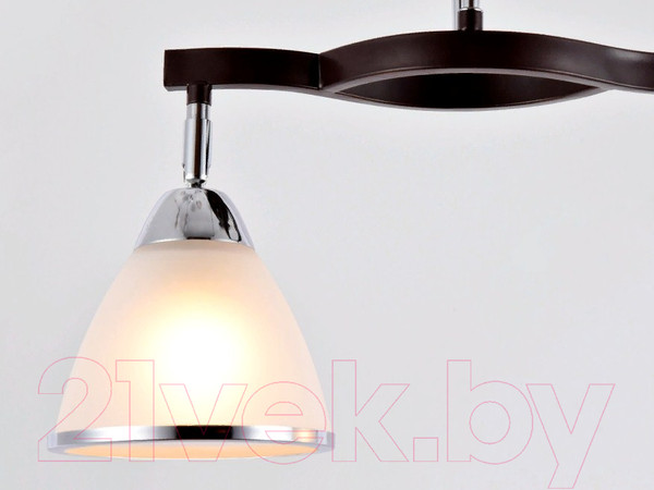 Изображение товара Потолочный светильник Ambrella TR3111/2 DCF/CH (темный кофе/хром)