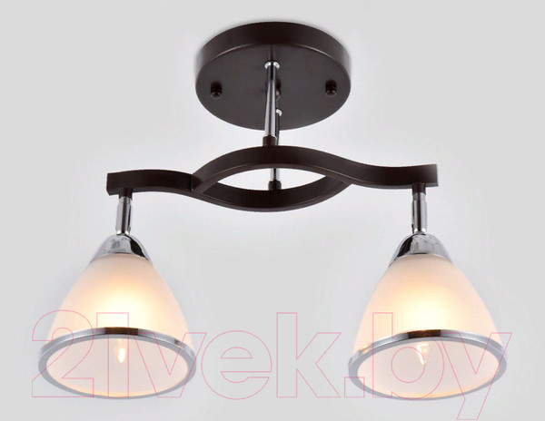 Изображение товара Потолочный светильник Ambrella TR3111/2 DCF/CH (темный кофе/хром)