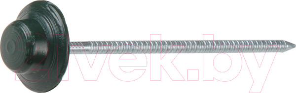 Изображение товара Гвоздь кровельный Starfix SM-24840-100