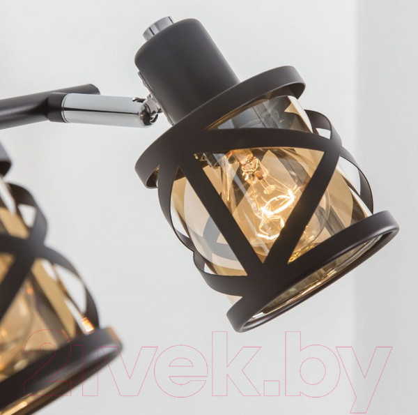 Изображение товара Спот Citilux Гессен CL536635