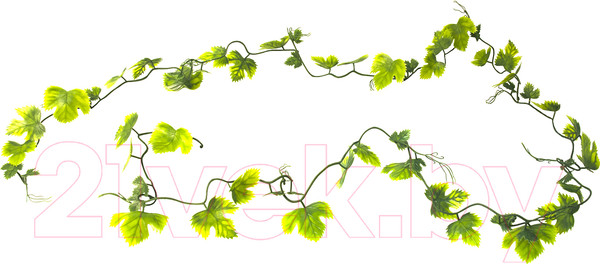 Изображение товара Декорация для террариума Lucky Reptile Gape Leaf Vine / LP-73