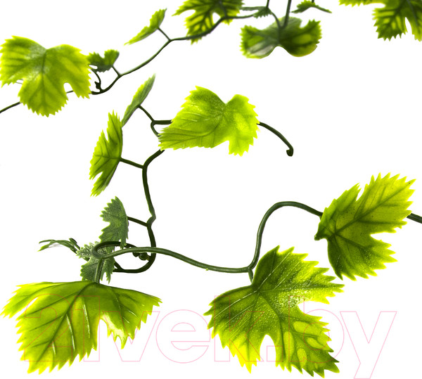 Изображение товара Декорация для террариума Lucky Reptile Gape Leaf Vine / LP-73